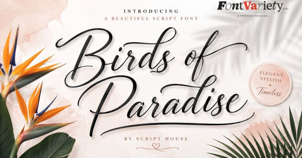 Birds of Paradise by Script House