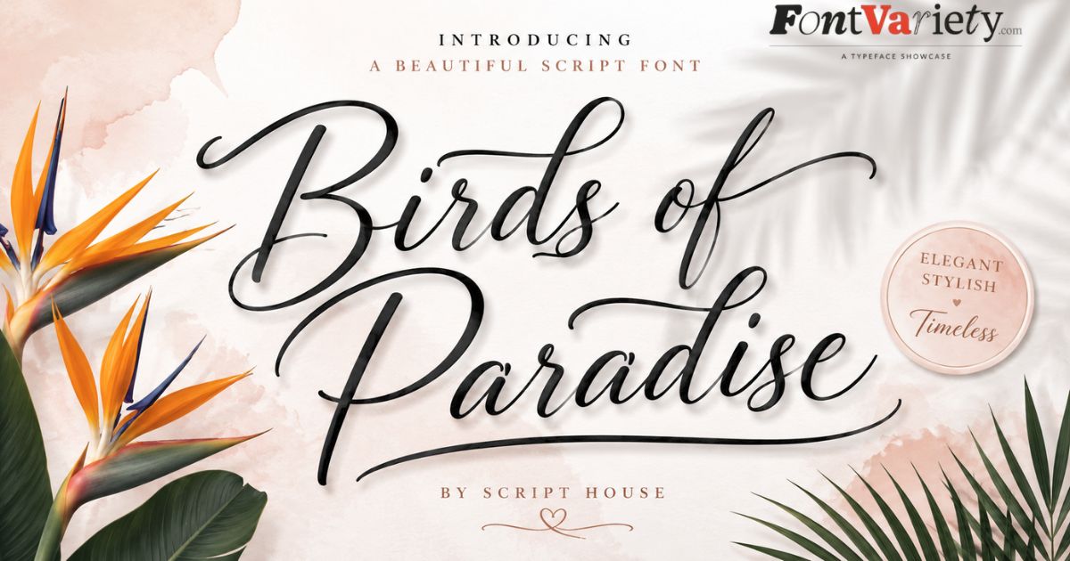 Birds of Paradise by Script House